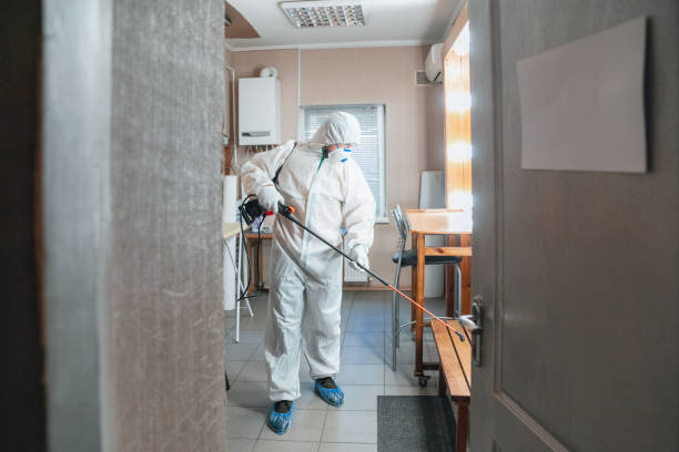 Mold Documentation for Insurance Claims in Artesia, CA