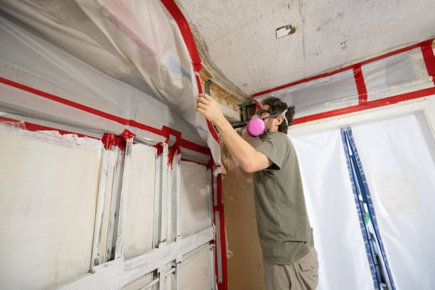 Best Commercial Mold Inspection  in Artesia, CA