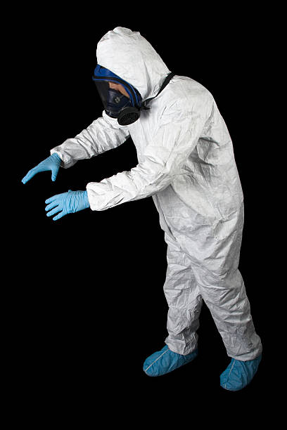 Reliable Artesia, CA Mold Removal Solutions