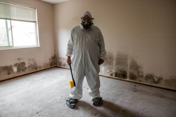 Best Industrial Mold Remediation  in Artesia, CA